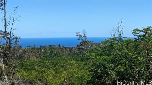 13-3992 PAHOA KALAPANA RD, PAHOA, HI 96778 - Image 1