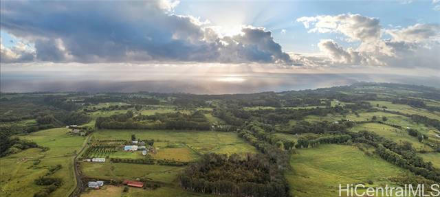 29-627 CHIN CHUCK RD, HAKALAU, HI 96710 - Image 1