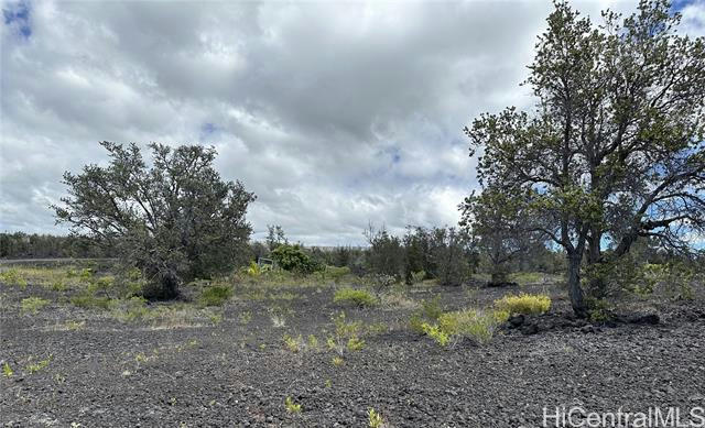 00000 ROAD TO THE SEA ROAD, NAALEHU, HI 96772, photo 4 of 14